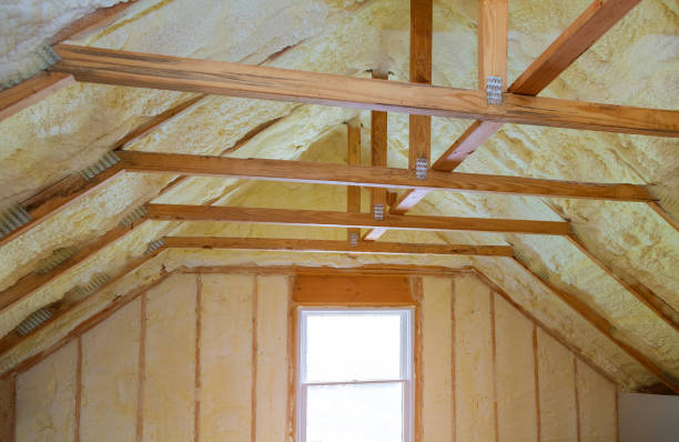 Best Professional Insulation Contractor  in Stewartville, AL